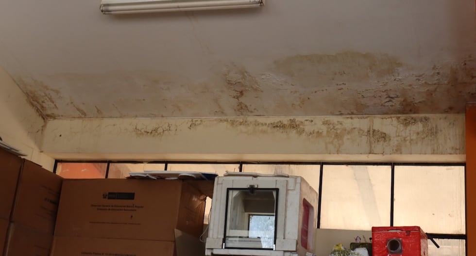 Techo es nido de palomas y paredes con filtraciones en colegio