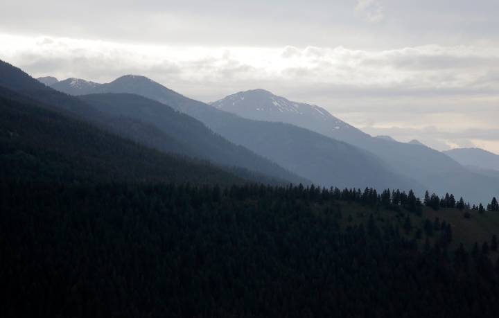 Baker City man dies in Wallowa Mountains logging accident