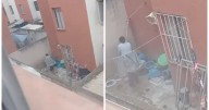 ¡Como si no les doliera! Captan maltrato animal contra 2 perritos en Pachuca, Hidalgo