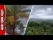 Trees Shake Amid Pouring rain as Hurricane Erin hits the Atlantic