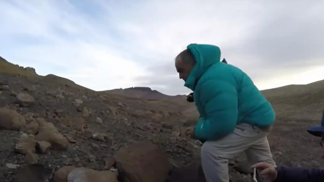 Así era el cocodrilo prehistórico que descubrieron en Argentina: convivió con dinosaurios