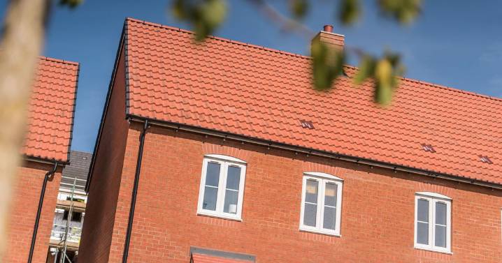 New plans submitted for 43 affordable homes in Cambs village