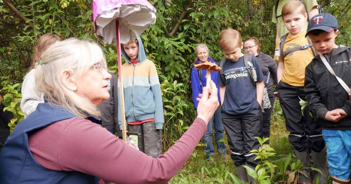 Fairbanks Fungi Festival returns with science, crafts and music