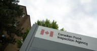 Canadian Food Inspection Agency recalls more items containing pistachio in Quebec