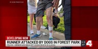 Runner attacked by dogs in Forest Park