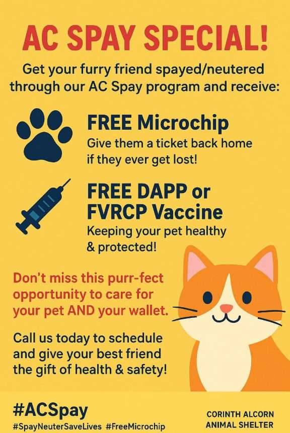 Corinth-Alcorn Animal Shelter Offering Spay/Neuter Special With Free Microchip and Vaccine
