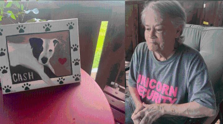 78-year-old cancer patient's dog fatally shot in front of her