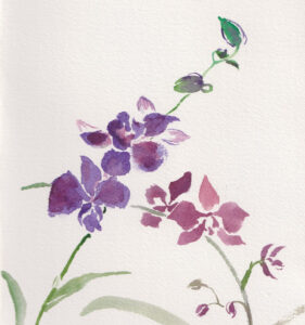 QBG Presents a Watercolor Workshop: Orchids
