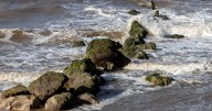 Teens find human remains on beach as police urge ghouls not to share grisly footage