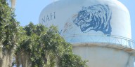Savannah State powers $164M boost to Georgia’s economy, new report finds