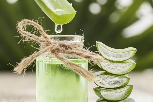 Conoce los beneficios del aloe vera en la rutina de cuidado facial