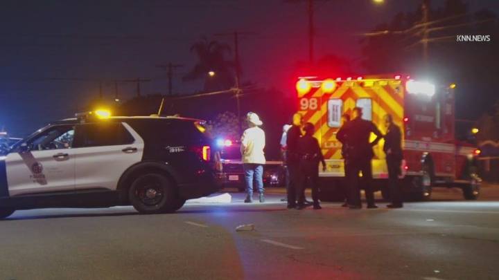Elderly woman walking her dog killed by hit