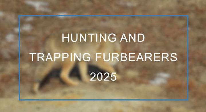 Furbearer biologist offers outlook on North Dakota 2025