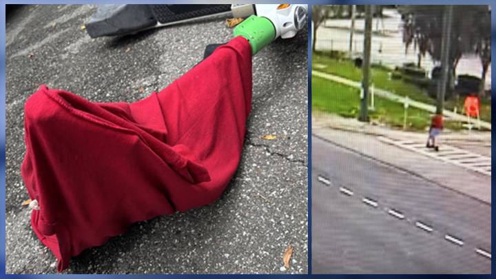 Deputies search for suspect after alleged sexual battery reported on Seminole Wekiva Trail