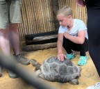 Leukemia survivor, 9, treated to a special visit at the Staten Island Zoo