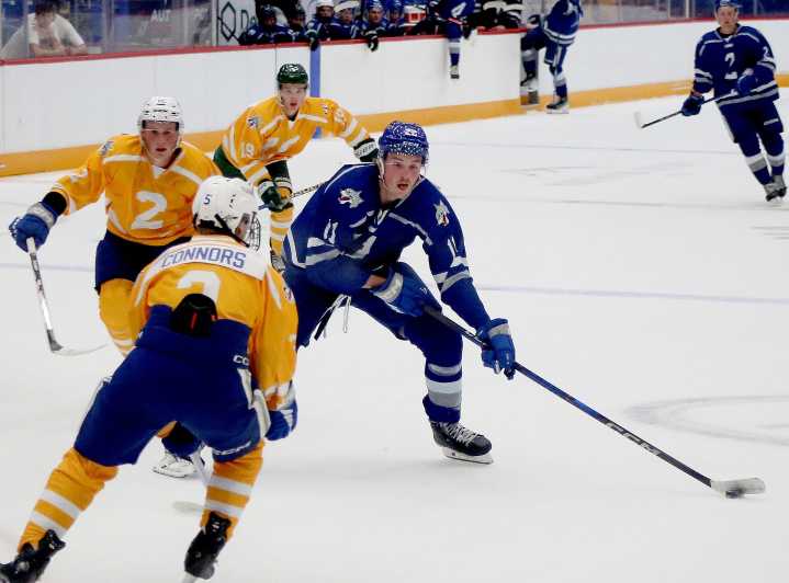 Sudbury Wolves off to fast start at training camp