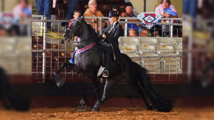 Arkansas State Championship Horse Show returns to Little Rock for Labor Day weekend