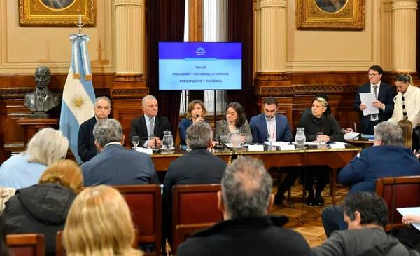 Senado: la oposición logró dictaminar la emergencia en pediatría