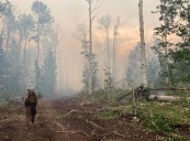 Wildfires on Colorado's Western Slope consume nearly 170,000 acres