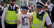 Hundreds of protesters arrested in London for supporting banned pro