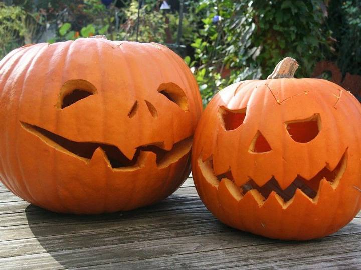 Pumpikins celebrated at fall fair in Bruce Mines