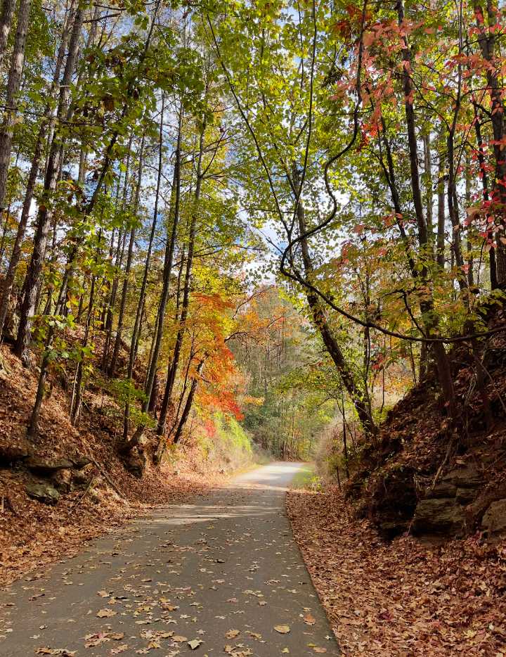 Creating connections: Silver Comet Trail and the Atlanta BeltLine connect after years of calls