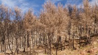 We're within 3 years of reaching a critical climate threshold. Can we reverse course?