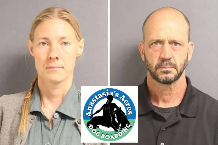 Upstate NY dog boarders charged with animal torture after 21 dogs die in their care