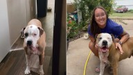 Texas Family Welcomes Back Beloved Dog After Seven