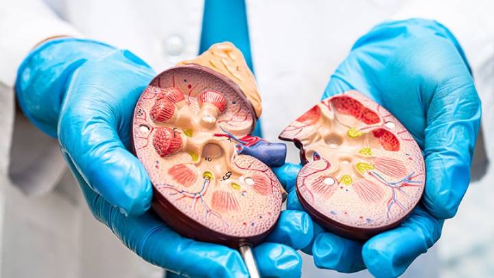 Exercise Boosts Fitness in Kidney Transplant Candidates
