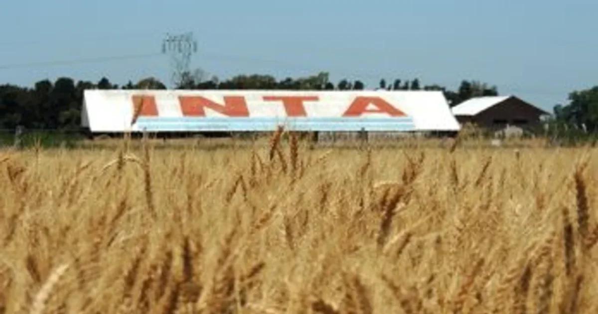 Una medida judicial que trae tranquilidad a los empleados del INTA