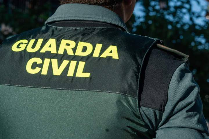 Detienen el presunto autor de seis incendios forestales en Málaga