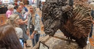Chickasaw artist wins Best of Show at Indian Market; local artists win several categories
