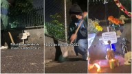 ‘El limpiatumbas’: el joven de TikTok que rescata del olvido a los altares en la calle