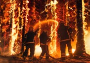 Un nuevo de Science afirma: "un 40 % más de personas viven ahora en zonas vulnerables a los incendios forestales"