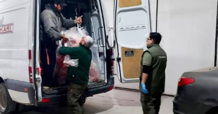 Incautaron 890 kilos de carne sobre la Ruta 22 en Neuquén: era transportada sin refrigeración ni documentación