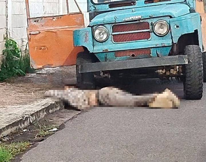Agricultor de Paya fue asesinado a tiros en Turmero, Aragua