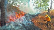 Greenpeace: Invertir en prevención ahorraría miles de millones en incendios en España