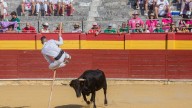 Tarde de recortes, quiebros y comedia en el Coso de Margarita de Calatayud