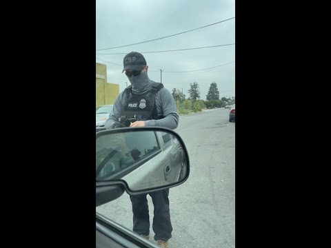 Federal immigration agents open fire on a family's vehicle