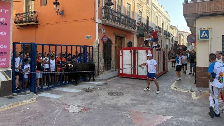 Laura Parejo, la joven ganadera que reina en los "bous al carrer" por toda la Comunitat Valenciana