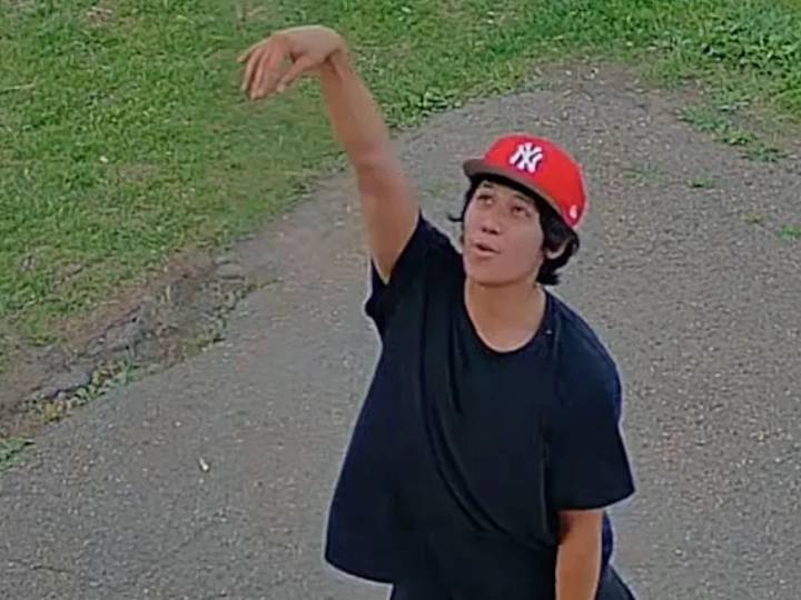 Edmonton police release images of St. Pius X playground arson suspects