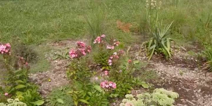 James River Basin Partnership offering free soil testing