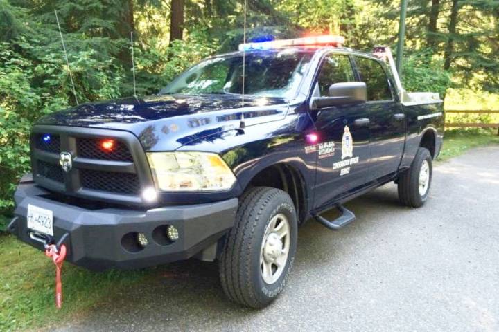 Mountain biker attacked by cougar near Squamish: Conservation officer service