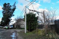 Caos en Bariloche. Ráfagas de alta velocidad generaron destrozos y cortes de luz