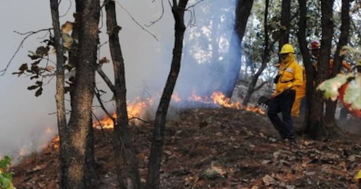 Incendios: Lluvias en Jalisco reducen a 120 mil las hectáreas afectadas en dos años