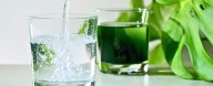 Chlorophyll & Collagen: Does Science Back TikTok's Favorite Supplements?