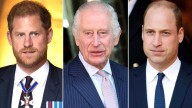 Prince William And Prince Harry Rift Deepens As King Seeks Reconciliation