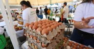Arrancó la Gran feria empresarial de Caldas en la Plaza de Bolívar, visítela y aproveche los precios