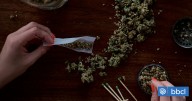 5 cosas que deberías saber sobre la marihuana y la psicosis, según un país donde se legalizó